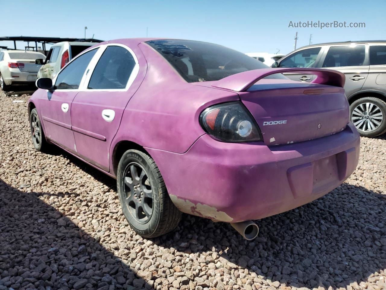 2004 Dodge Neon Sxt Purple vin: 1B3ES56C74D524308