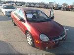 2004 Dodge Neon Sxt Красный vin: 1B3ES56C74D535776