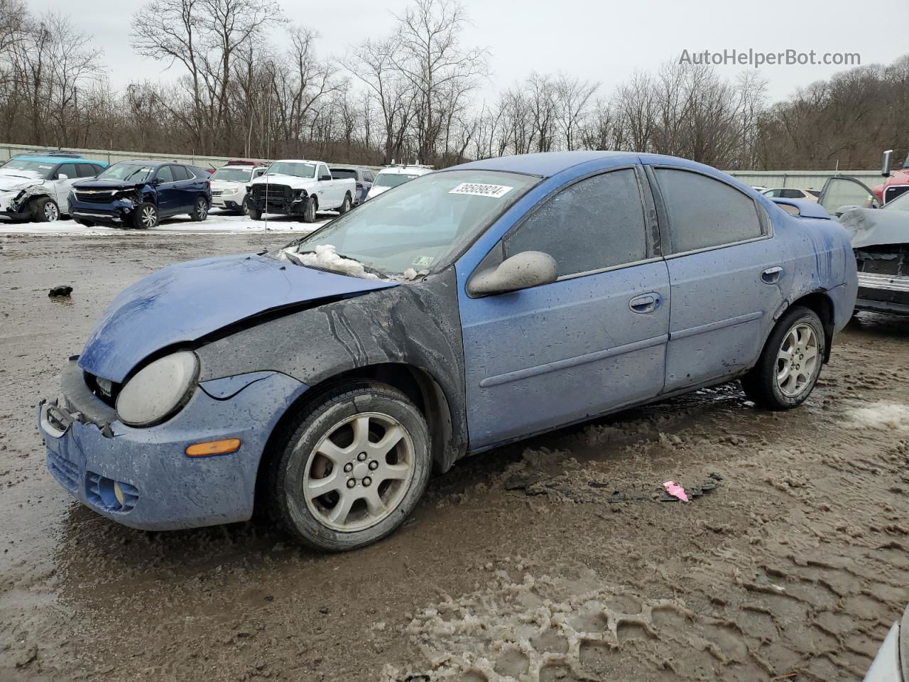 2004 Dodge Neon Sxt Blue vin: 1B3ES56C74D577347