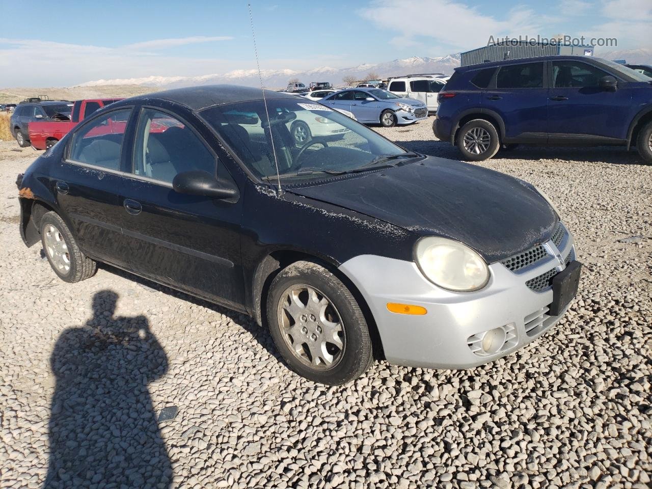 2004 Dodge Neon Sxt Black vin: 1B3ES56C74D638213