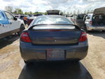 2004 Dodge Neon Sxt Gray vin: 1B3ES56C84D534698