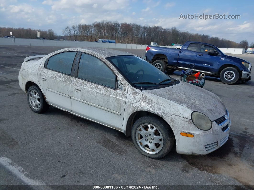 2004 Dodge Neon Sxt White vin: 1B3ES56C84D552053