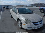 2004 Dodge Neon Sxt White vin: 1B3ES56C84D552053