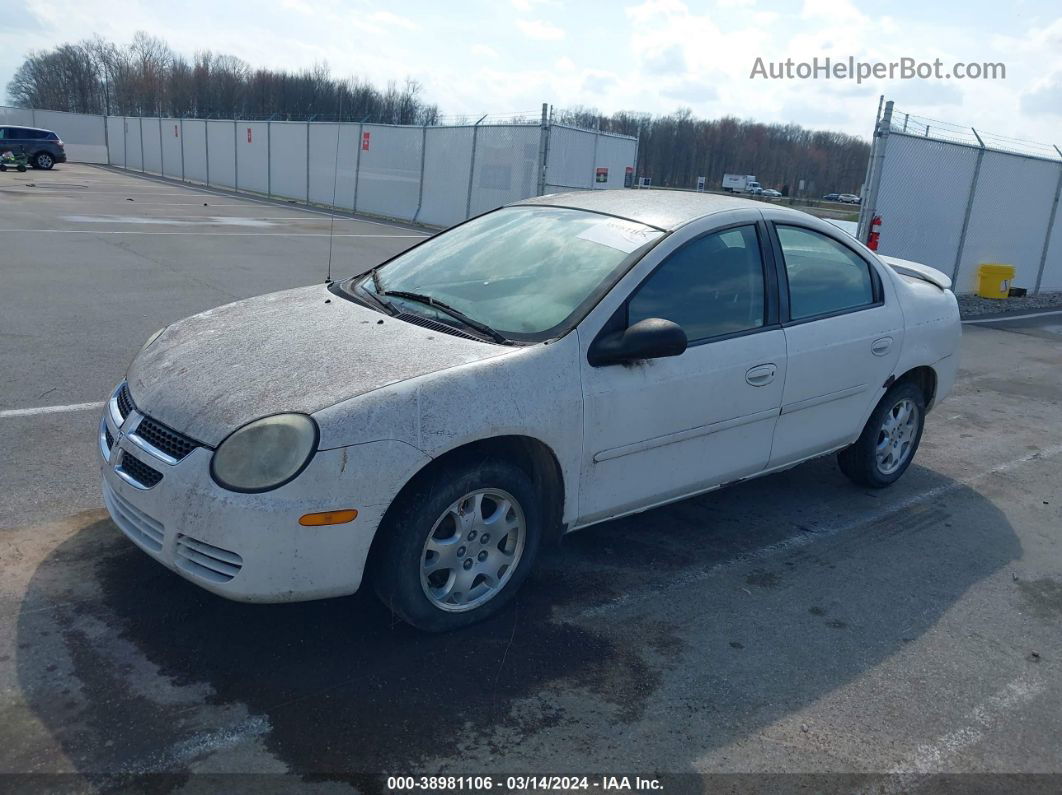 2004 Dodge Neon Sxt White vin: 1B3ES56C84D552053