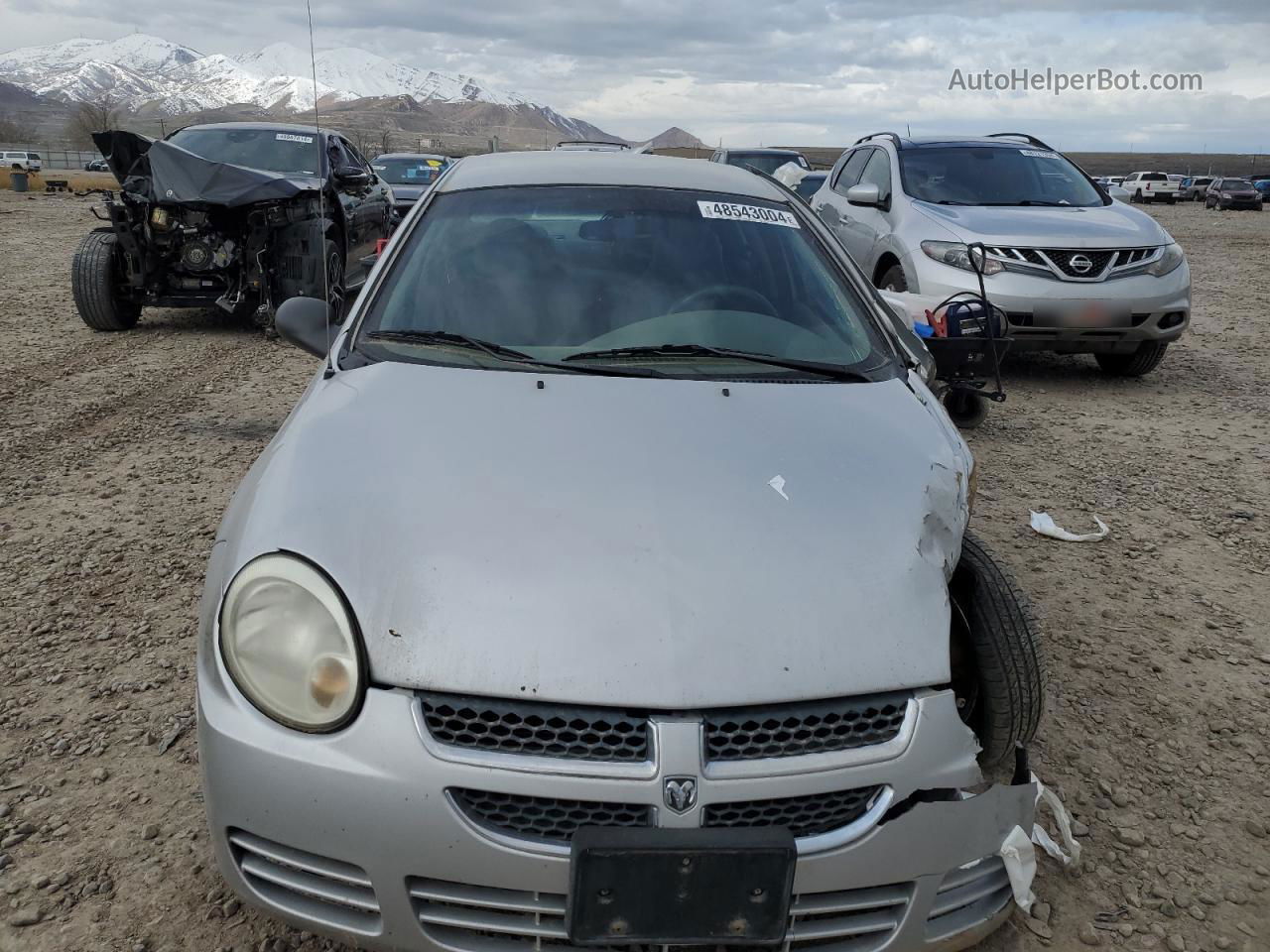 2004 Dodge Neon Sxt Silver vin: 1B3ES56C94D600854