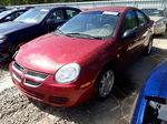 2004 Dodge Neon Sxt Red vin: 1B3ES56CX4D510497