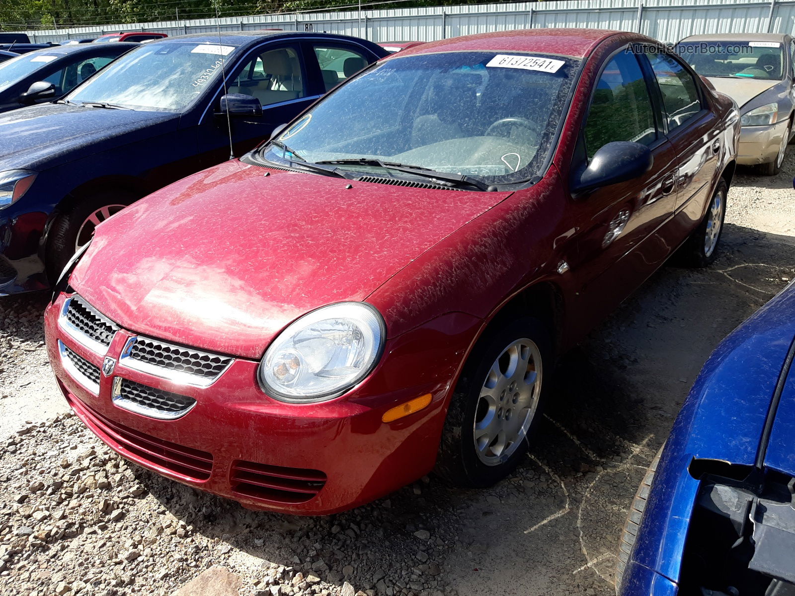 2004 Dodge Neon Sxt Красный vin: 1B3ES56CX4D510497