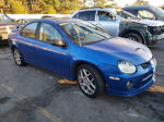 2004 Dodge Neon Srt-4 Blue vin: 1B3ES66S44D534601