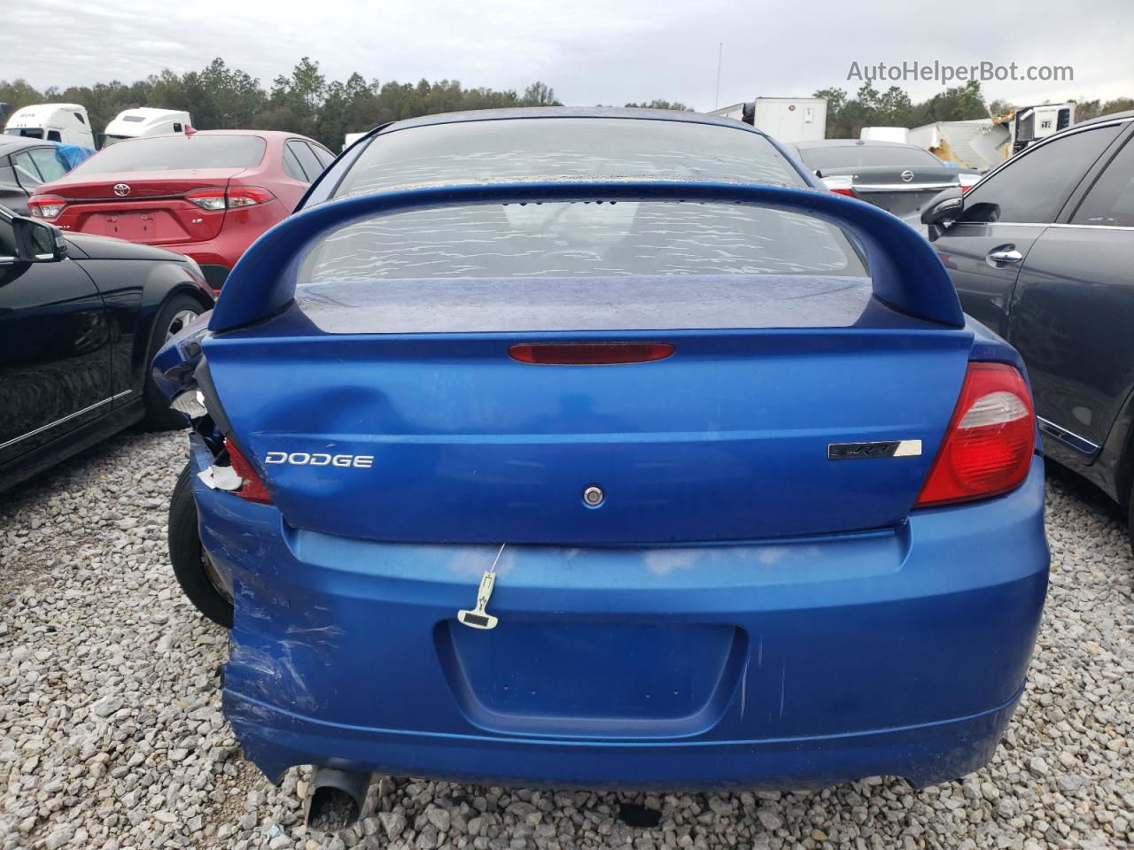 2004 Dodge Neon Srt-4 Blue vin: 1B3ES66S44D534601