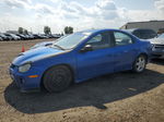 2004 Dodge Neon Srt-4 Blue vin: 1B3ES66S54D518861