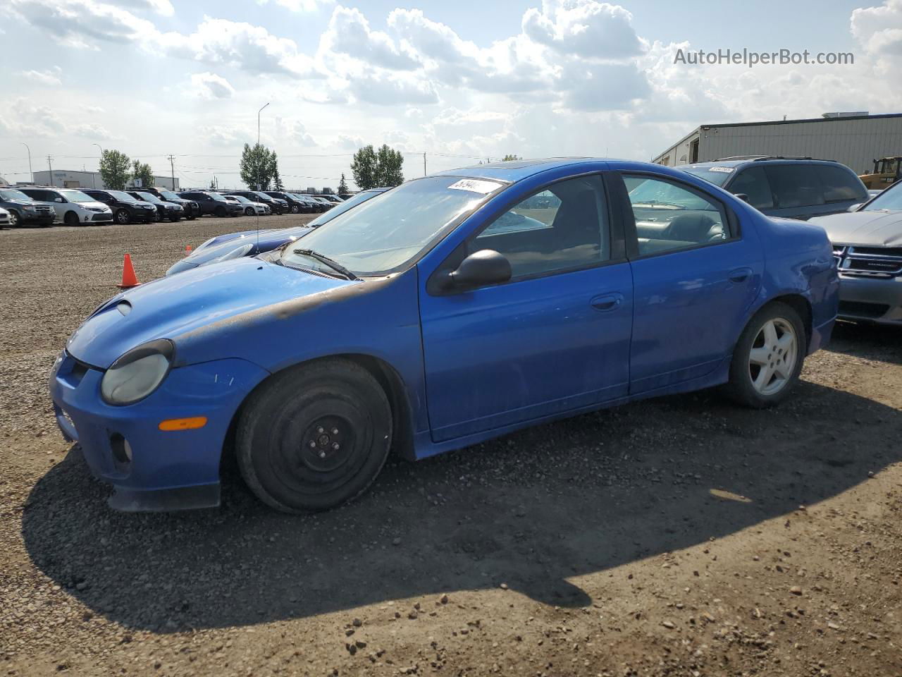 2004 Dodge Neon Srt-4 Blue vin: 1B3ES66S54D518861