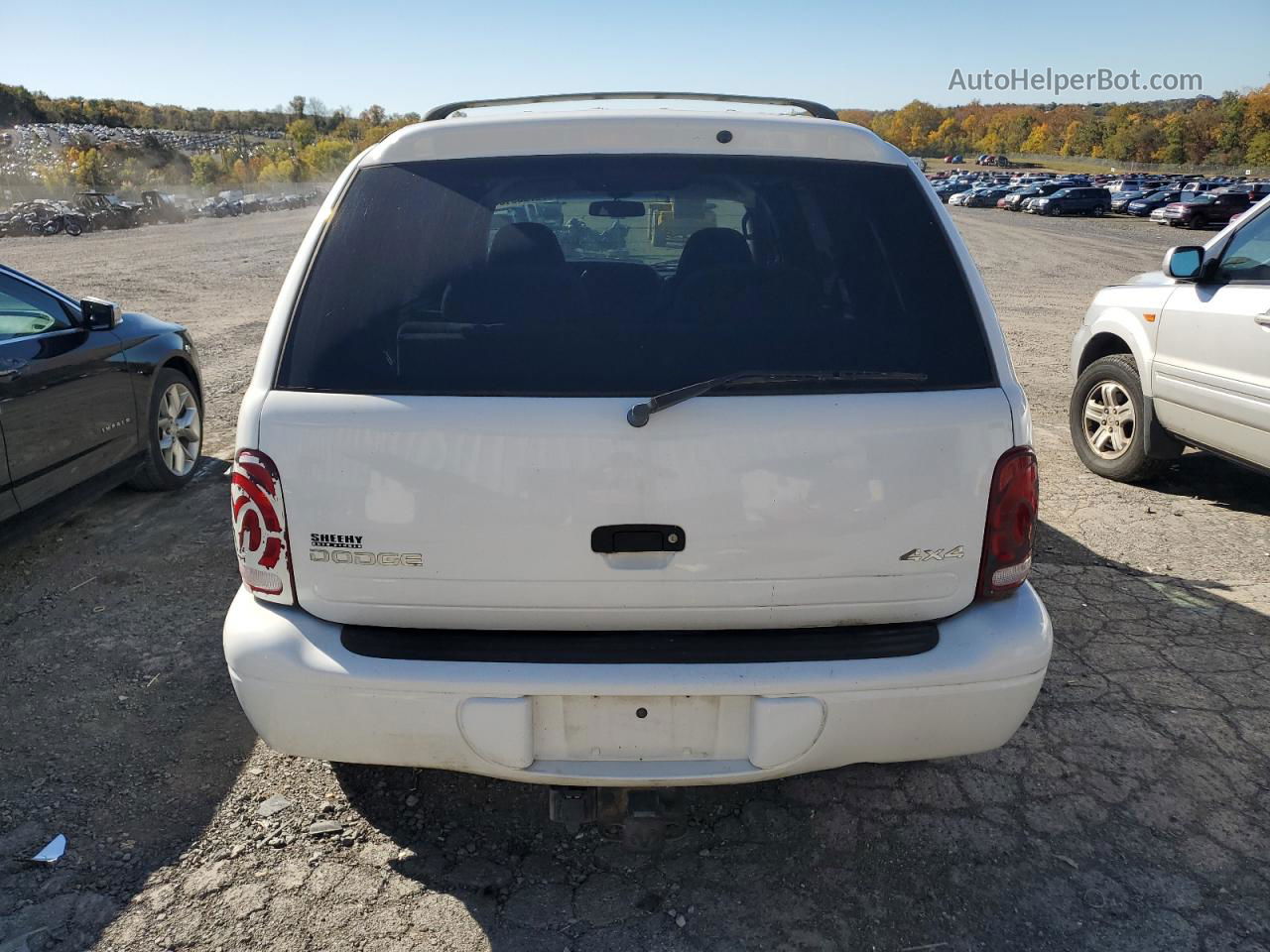 1998 Dodge Durango  White vin: 1B4HS28Y0WF139891