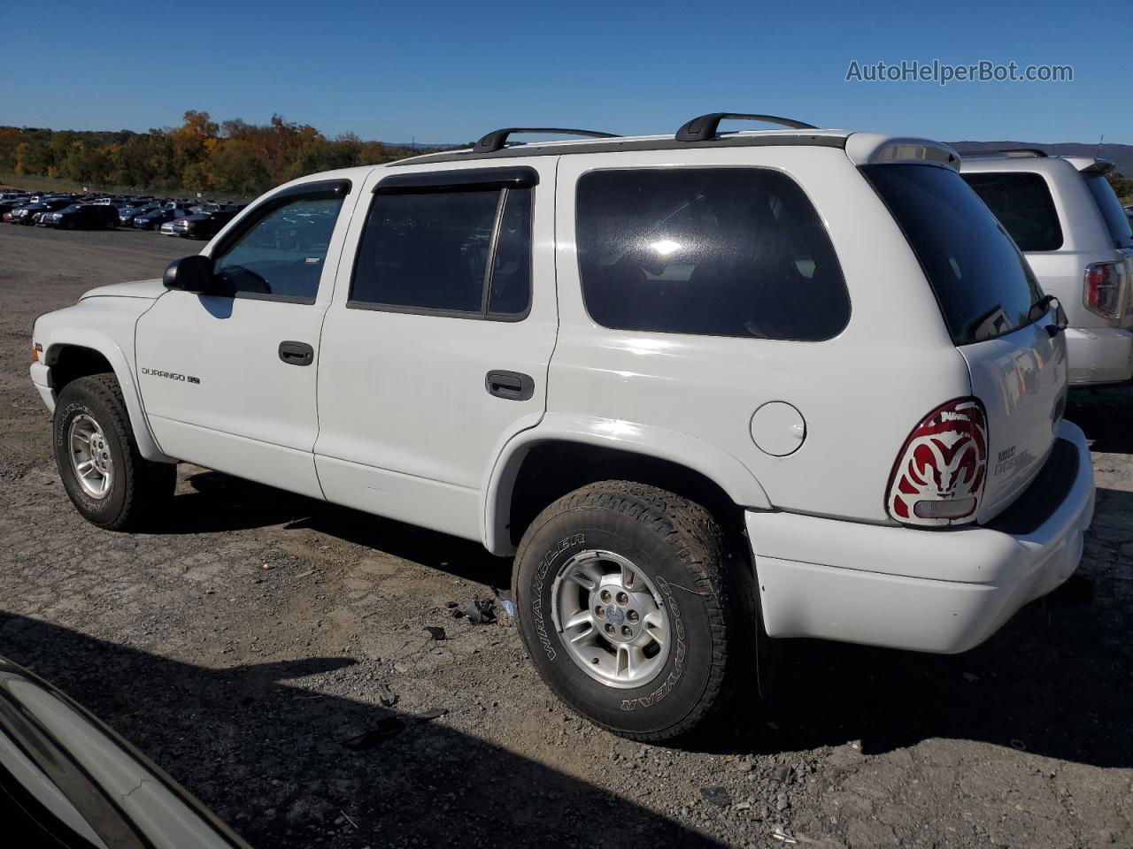 1998 Dodge Durango  White vin: 1B4HS28Y0WF139891