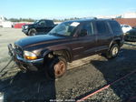 1998 Dodge Durango   Brown vin: 1B4HS28Y1WF180952