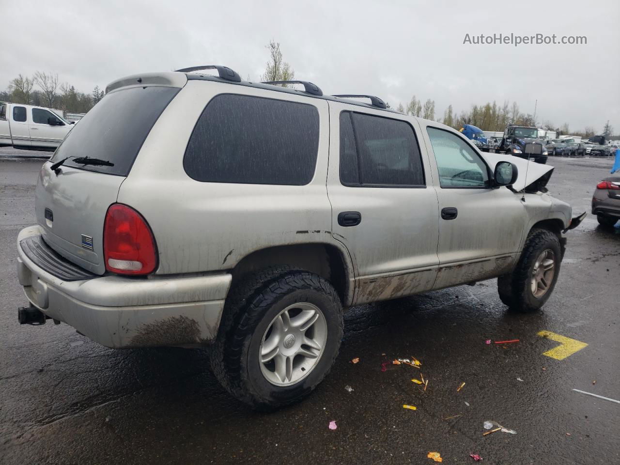 1998 Dodge Durango  Silver vin: 1B4HS28Z1WF147989