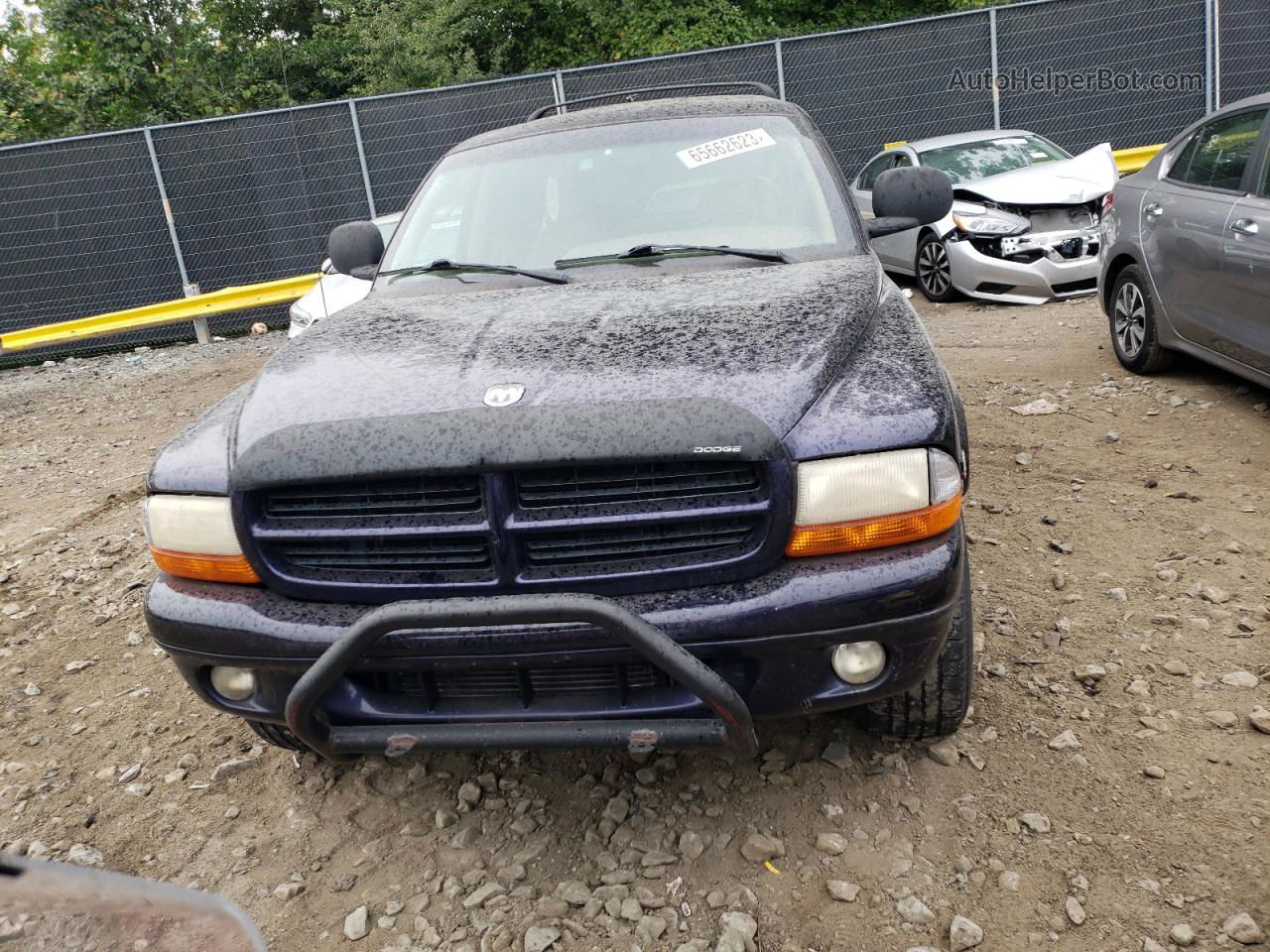 1998 Dodge Durango  Purple vin: 1B4HS28Z1WF225333