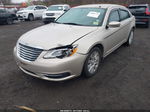 2014 Chrysler 200 Lx Золотой vin: 1C3CCBAB2EN213983