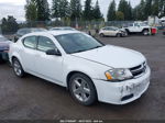 2014 Dodge Avenger Se White vin: 1C3CDZAB7EN113710