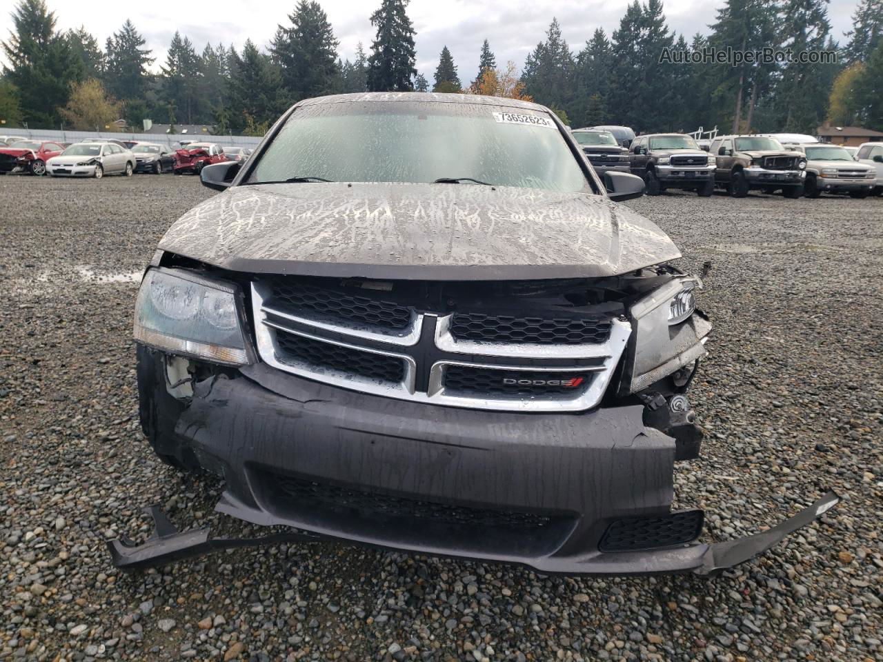 2014 Dodge Avenger Se Gray vin: 1C3CDZAB8EN237792