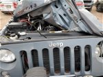2014 Jeep Wrangler Rubicon Gray vin: 1C4HJWCG5EL111449