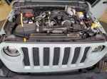 2023 Jeep Wrangler Sport Зеленый vin: 1C4HJXDG1PW615129