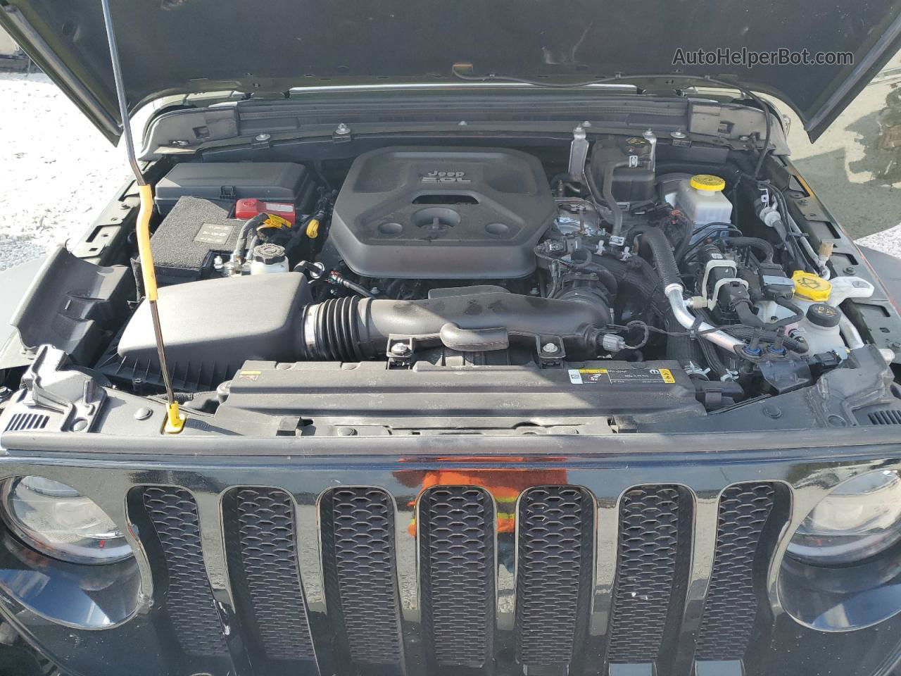 2023 Jeep Wrangler Sport Зеленый vin: 1C4HJXDN5PW509345