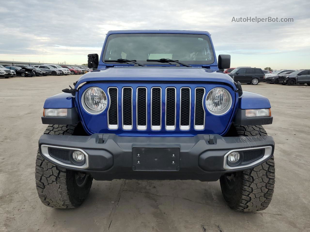 2019 Jeep Wrangler Unlimited Sahara Синий vin: 1C4HJXEG6KW589067