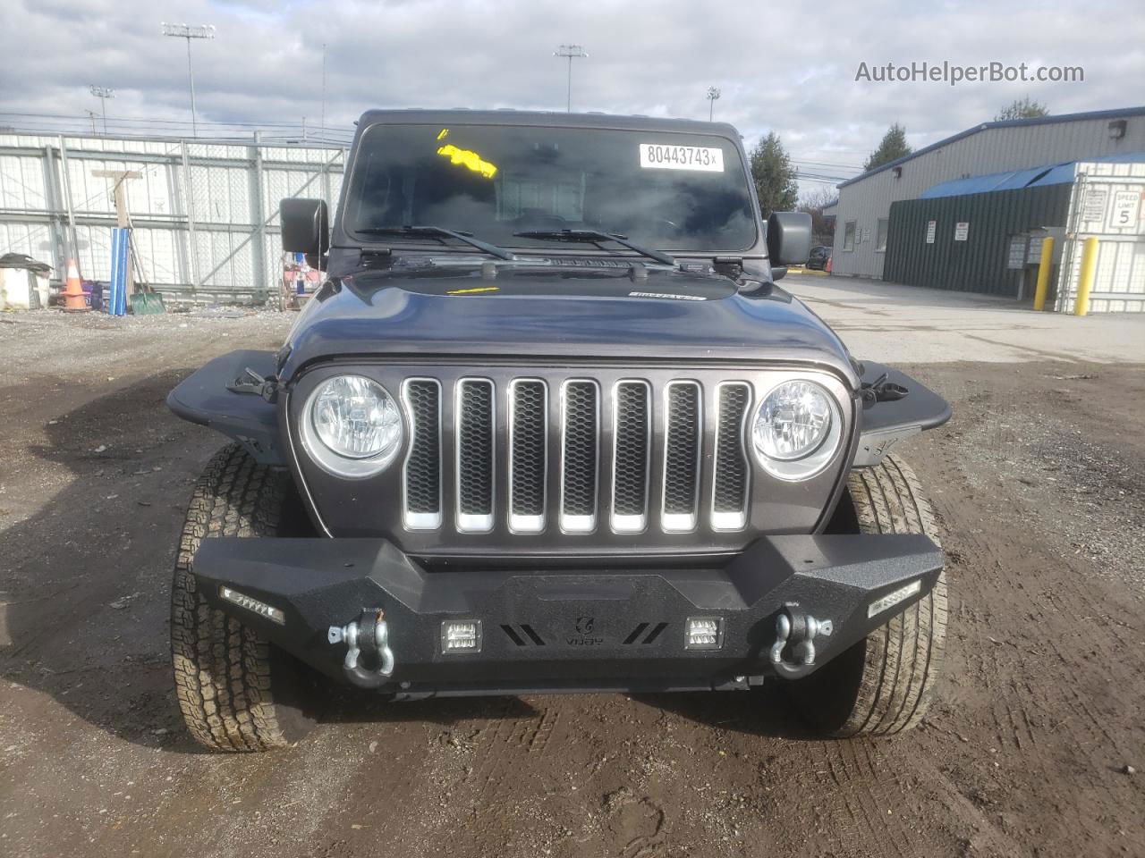 2019 Jeep Wrangler Unlimited Sahara Серый vin: 1C4HJXEN9KW507704