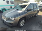 2014 Jeep Compass Sport Gray vin: 1C4NJCBA5ED562891