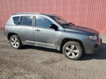 2013 Jeep Compass  Gray vin: 1C4NJDABXDD270040