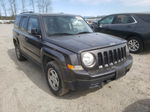 2014 Jeep Patriot Sport Угольный vin: 1C4NJPBA0ED850955