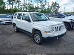 2014 Jeep Patriot Sport Yellow vin: 1C4NJPBA3ED596027