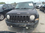 2014 Jeep Patriot Sport Черный vin: 1C4NJPBA3ED812314