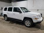 2014 Jeep Patriot Sport Белый vin: 1C4NJPBA7ED817841