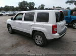 2016 Jeep Patriot Sport Белый vin: 1C4NJPBB3GD810221