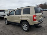 2016 Jeep Patriot Sport Желто-коричневый vin: 1C4NJPBB8GD808657