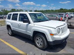 2014 Jeep Patriot Sport Белый vin: 1C4NJPBBXED917215