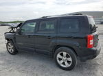 2014 Jeep Patriot Limited Черный vin: 1C4NJPCBXED604471