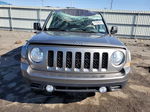 2014 Jeep Patriot Latitude Gray vin: 1C4NJPFA8ED624771