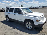 2014 Jeep Patriot Sport Белый vin: 1C4NJRBB0ED645950