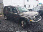 2016 Jeep Patriot Sport Серый vin: 1C4NJRBB3GD654399