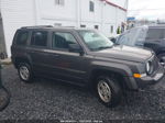 2016 Jeep Patriot Sport Серый vin: 1C4NJRBB3GD654399