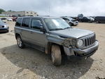 2014 Jeep Patriot Latitude Gray vin: 1C4NJRFB3ED546291