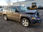 2016 Jeep Patriot Latitude Gray vin: 1C4NJRFB4GD608512