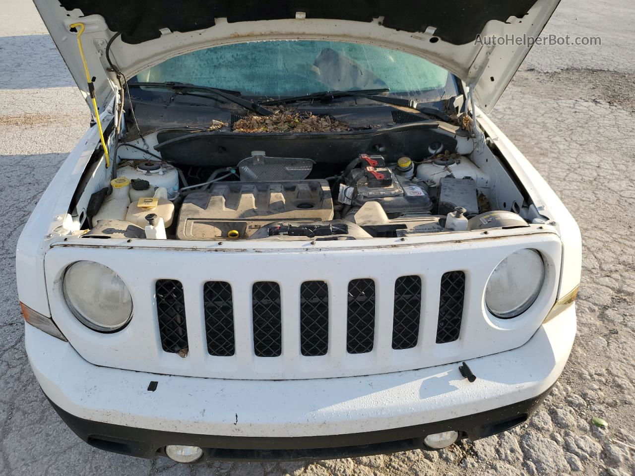 2014 Jeep Patriot Latitude Белый vin: 1C4NJRFB9ED832033