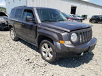 2016 Jeep Patriot Latitude Gray vin: 1C4NJRFBXGD598858