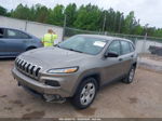 2016 Jeep Cherokee Sport Gold vin: 1C4PJLAB3GW257058