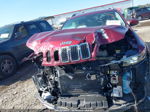 2021 Jeep Cherokee Latitude Fwd Бордовый vin: 1C4PJLCB2MD192224