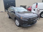 2021 Jeep Cherokee Latitude vin: 1C4PJLCB7MD103747