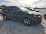 2019 Jeep Cherokee Latitude Black vin: 1C4PJLCBXKD373519